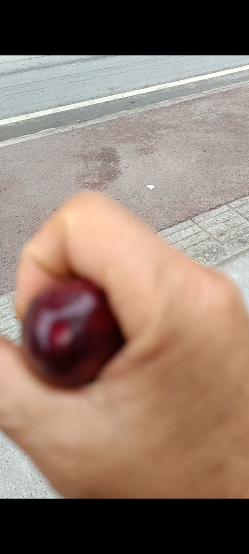 汉源车厘子大量上市，有美早，红登，拉丁丝，品种多多