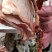 牛排，牛扇骨、牛肉，内蒙本地牛排，肉多。做锅。
