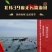 干裙带菜批发