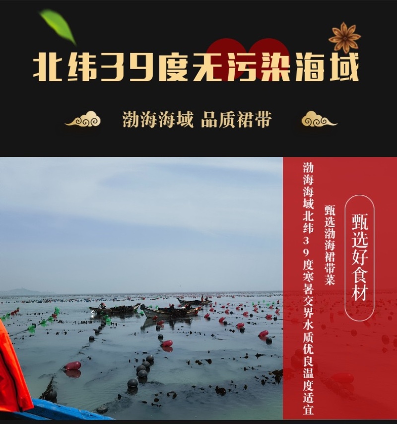 干裙带菜批发
