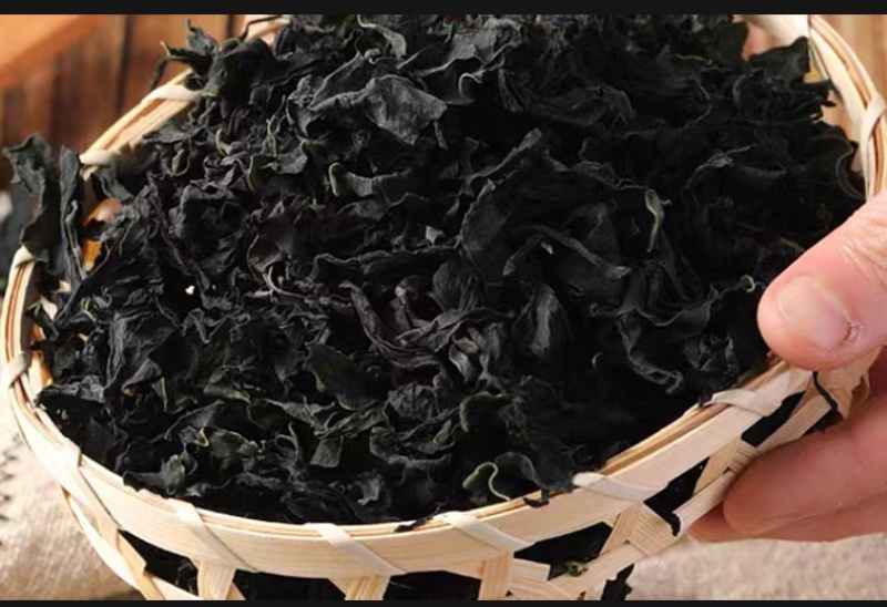 干裙带菜批发