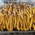 精品冬虫夏草货源充足量大从优质量保证欢迎咨询