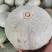 银栗南瓜，口感干面，糯甜产地一手货源量大从优老少皆宜