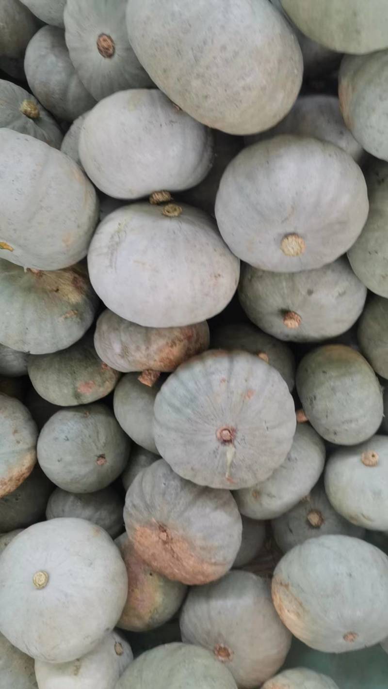 银栗南瓜，口感干面，糯甜产地一手货源量大从优老少皆宜