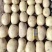 土豆品种齐全货量充足全国代发保质保量
