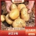 全年供应黄皮黄心土豆，专攻1-3两，2-4两电商规格定制