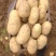 全年供应黄皮黄心土豆，专攻1-3两，2-4两电商规格定制