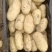全年供应黄皮黄心土豆，专攻1-3两，2-4两电商规格定制