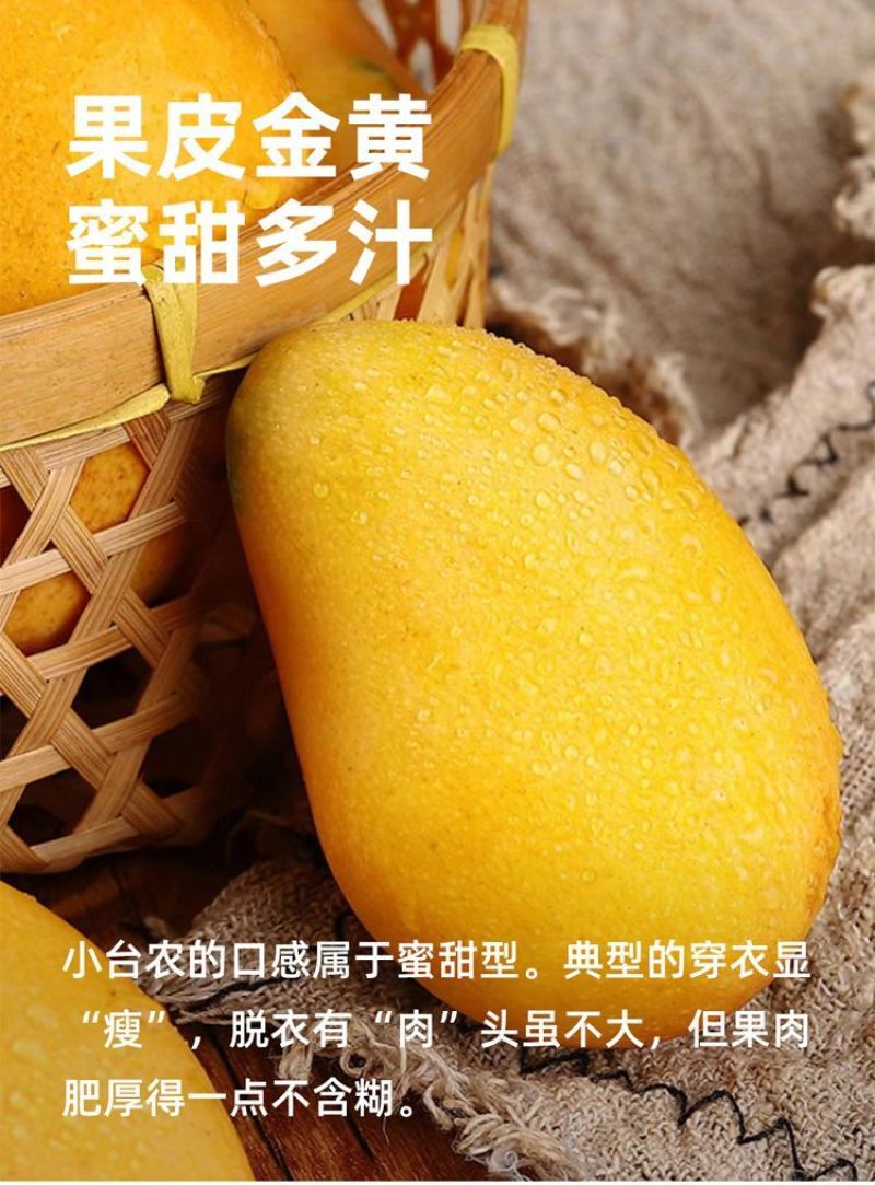 【爆甜】正宗小台农芒果新鲜非贵妃芒金煌芒大青芒应季水果批