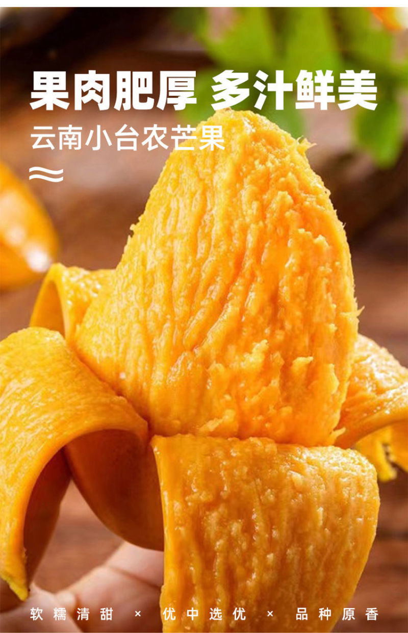 【爆甜】正宗小台农芒果新鲜非贵妃芒金煌芒大青芒应季水果批