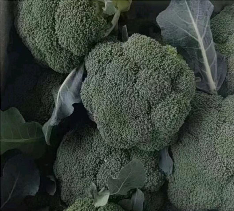 新鲜西兰花选购指南