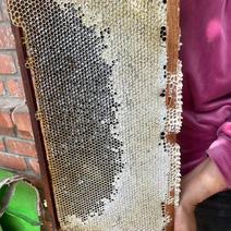 【推荐】土蜂蜜大量有货长期供应欢迎老板咨询