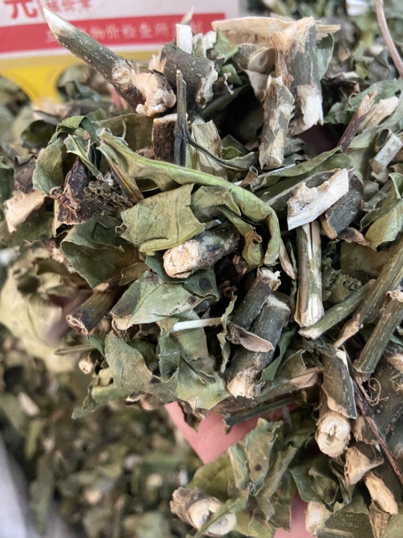大驳骨