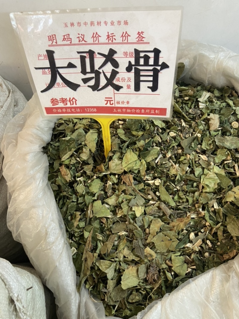 大驳骨