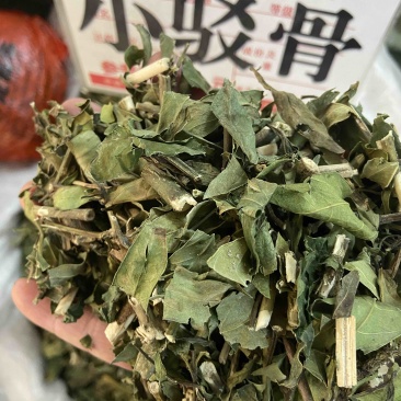 小驳骨