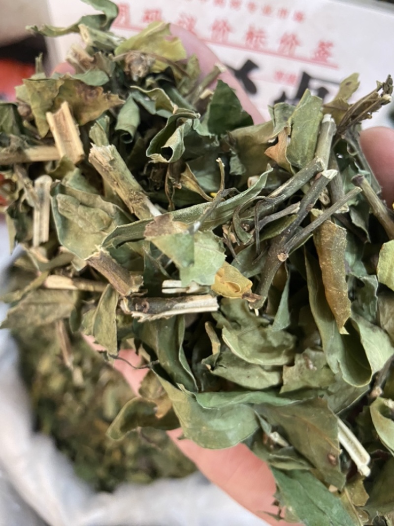 小驳骨