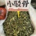 小驳骨