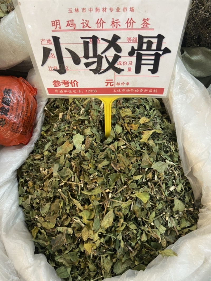 小驳骨