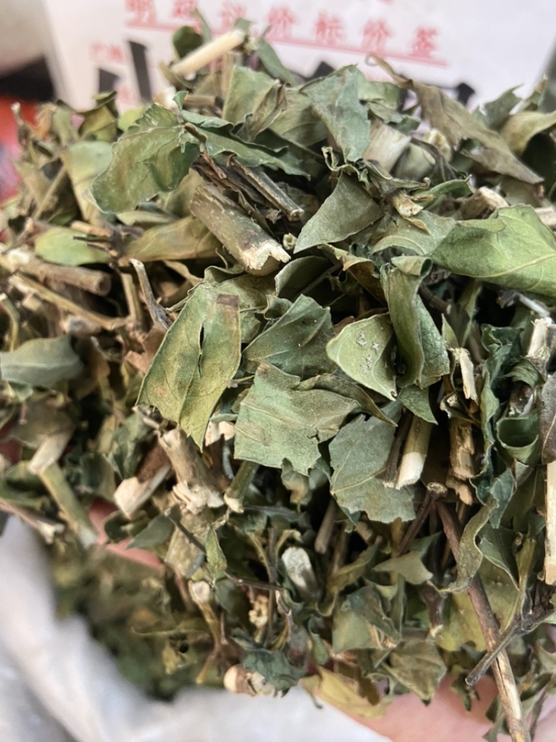 小驳骨
