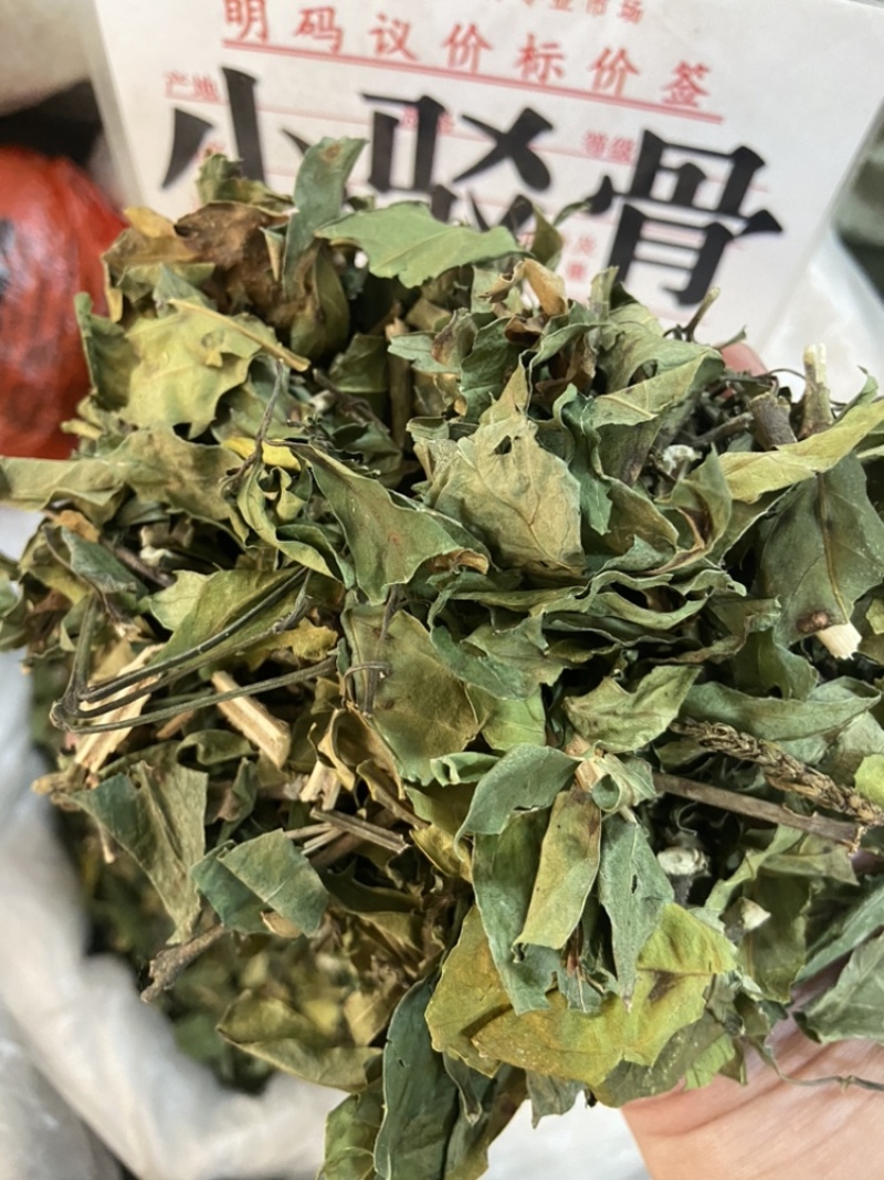 小驳骨