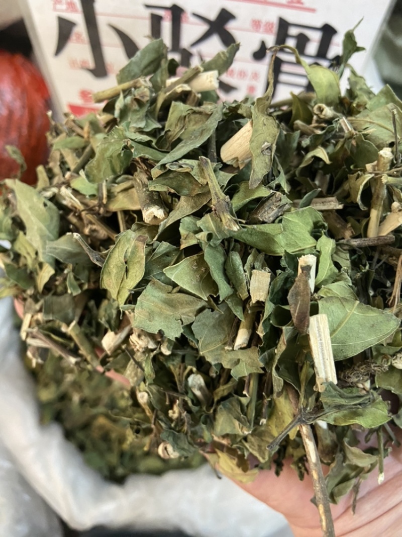 小驳骨