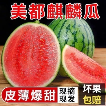 美都无籽【美都西瓜】有籽西瓜大量上市对接全国