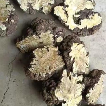 川芎