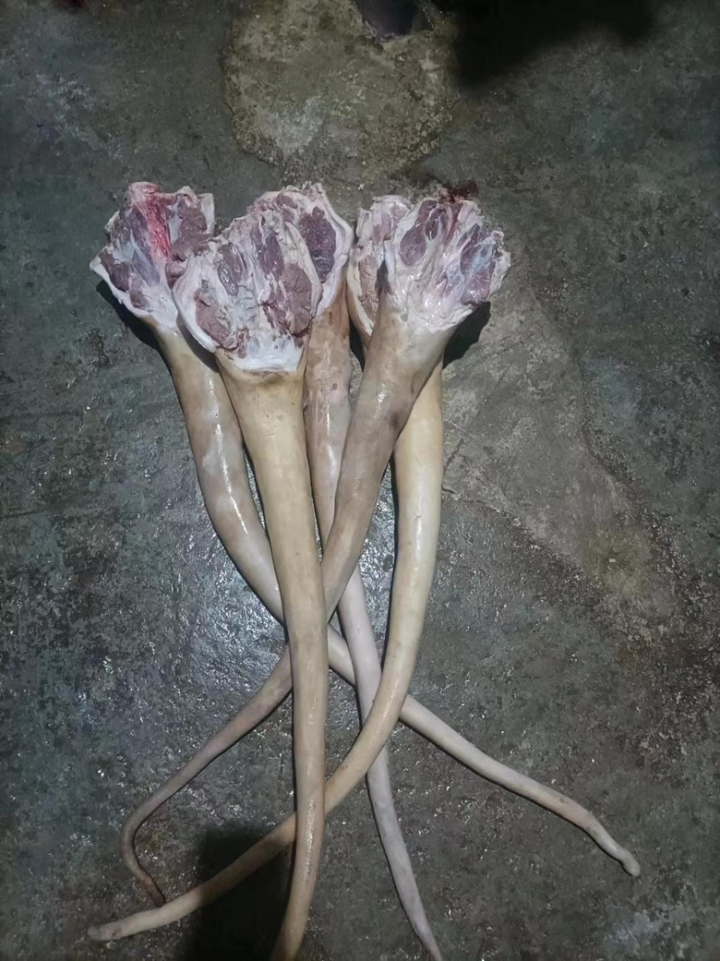 火烧牛尾