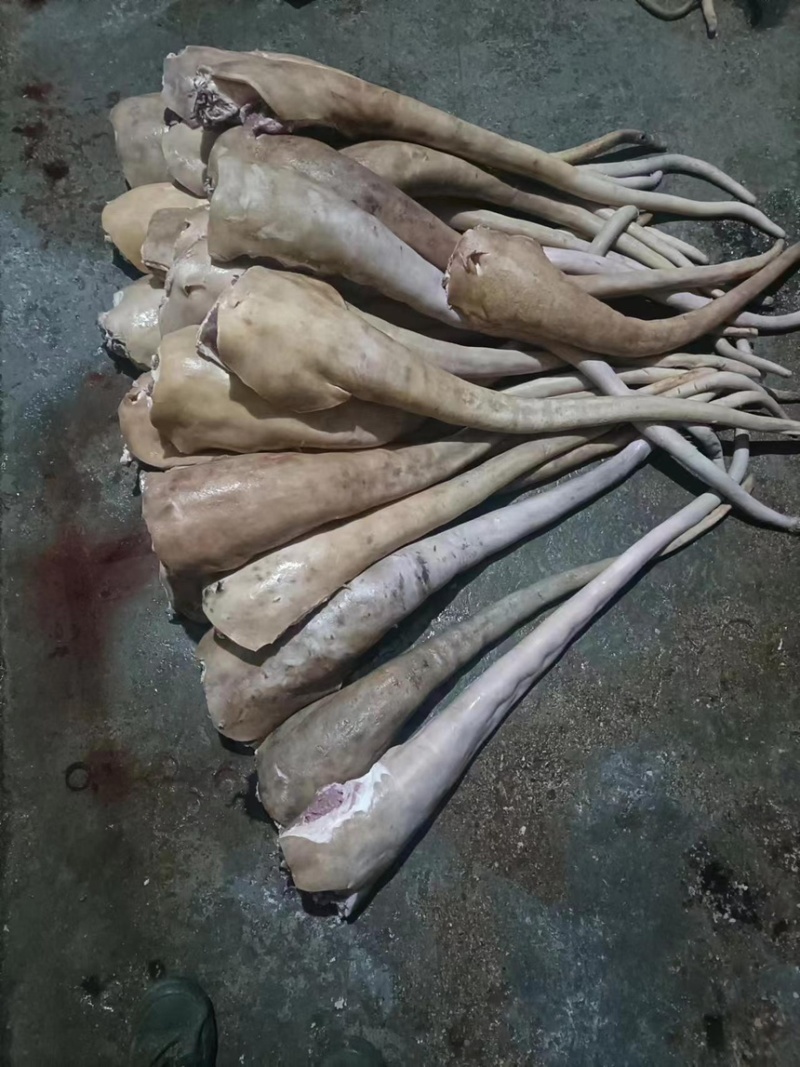 火烧牛尾