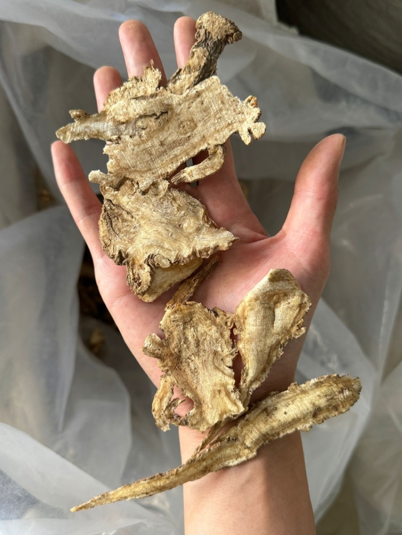 当归头片当归头全归毛头片实拍现货正品岷县当归