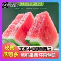 顺丰无籽冰糖麒麟西瓜一件代发西瓜一件代发夏季水果
