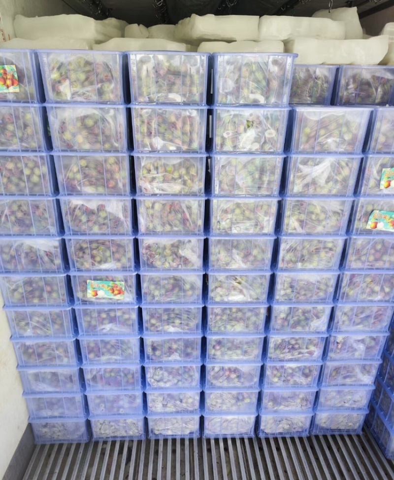 广东湛江妃子笑荔枝已经大量上市，今天大掉价格了，需要装货