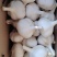 大量供应，兰陵四六瓣市场货，混级蒜，蒜米料，脱水蒜