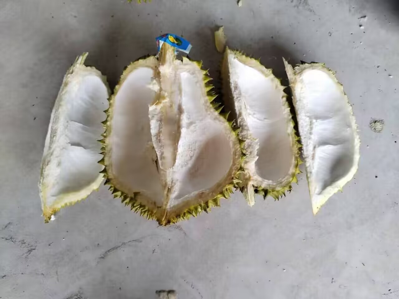 高清特写镜头下的金枕榴莲剖面:三瓣完整的金黄色果肉整齐排列,质地细腻如奶油,表面光滑无褐斑,背景为黑色石板,旁边配有不锈钢勺和薄荷叶点缀 切开后的金枕榴莲果肉特写