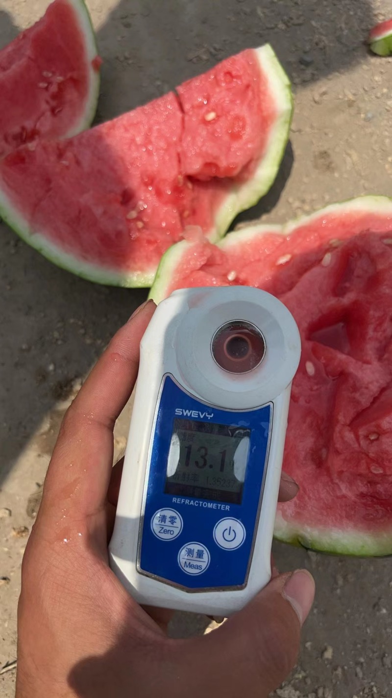 夏邑美都西瓜一手货源1万斤起批价格低对接全国客商
