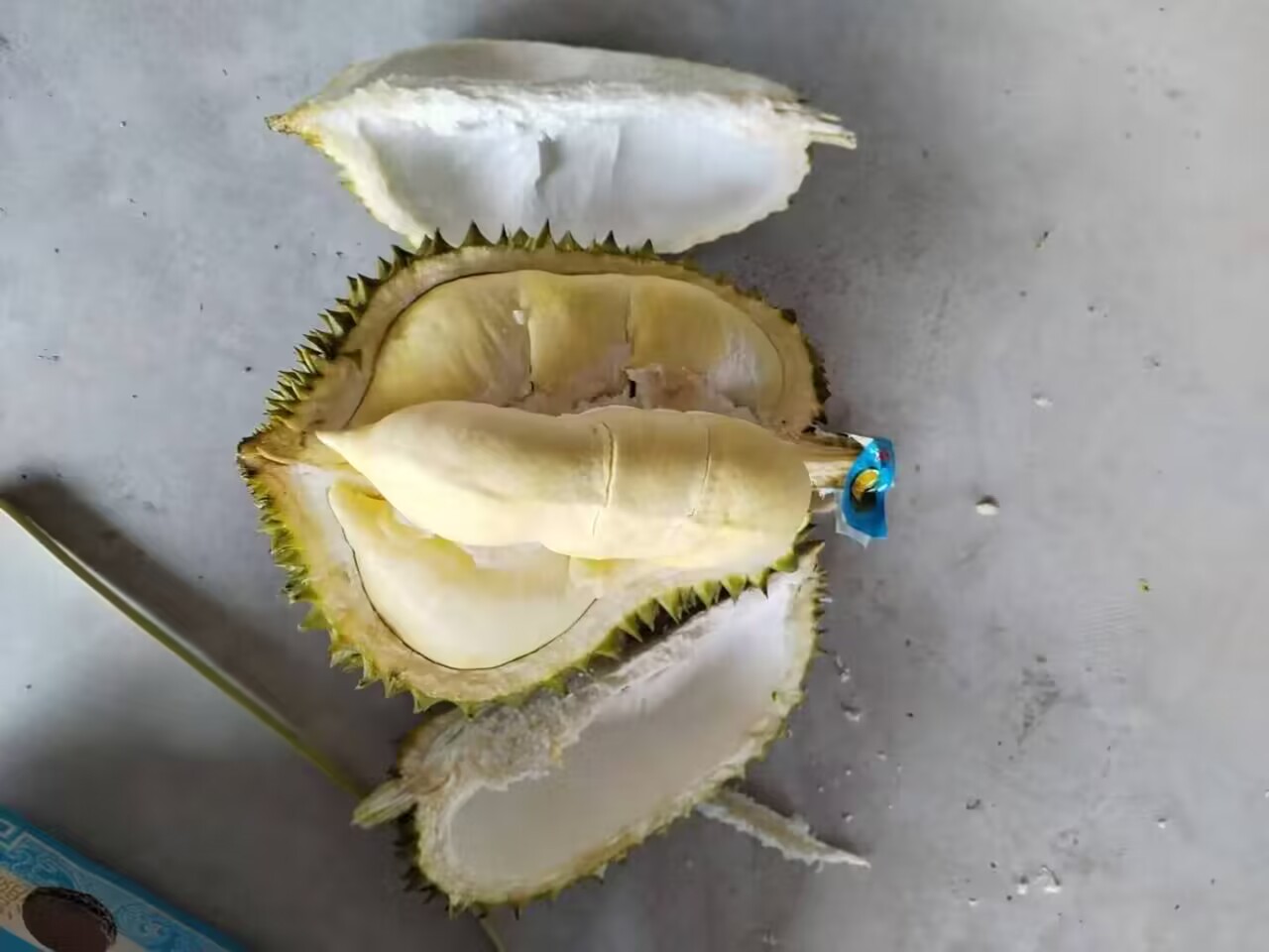 金枕头榴莲切开前后对比图