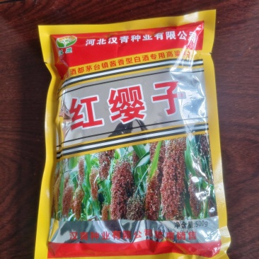 红缨子高粱种子（茅台专用）