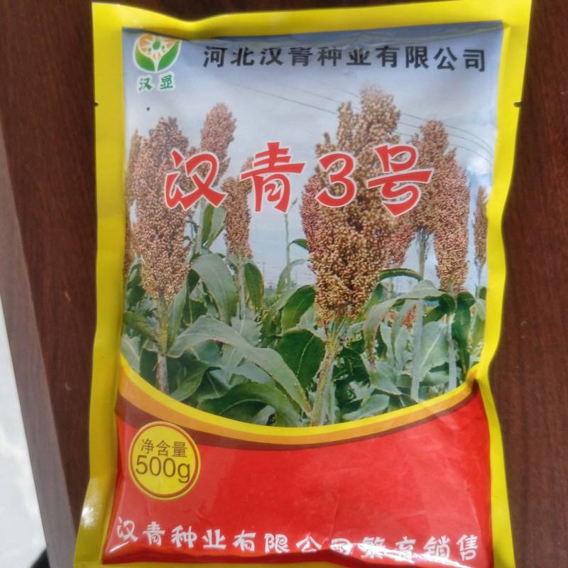 汉青3号（株高矮，产量高）