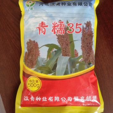 青糯35杂交高粱种子（产量高）