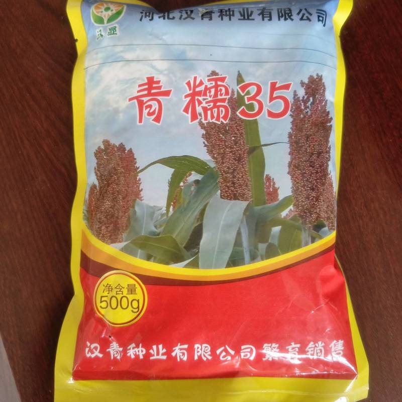 青糯35杂交高粱种子（产量高）