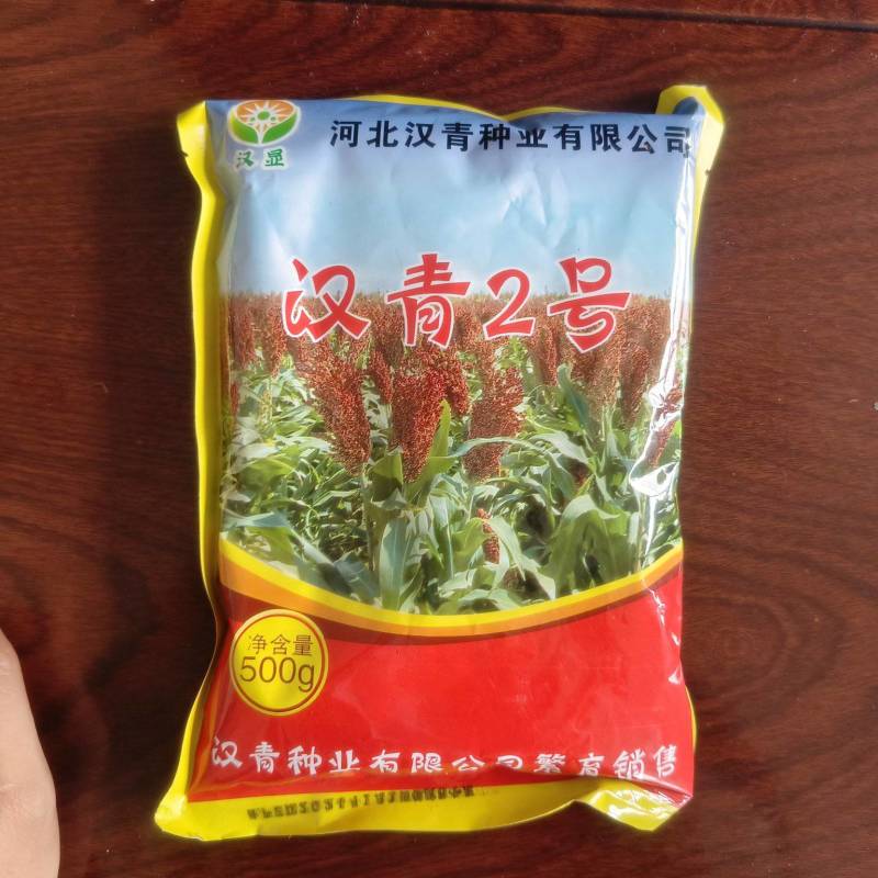 汉青2号高粱种子
