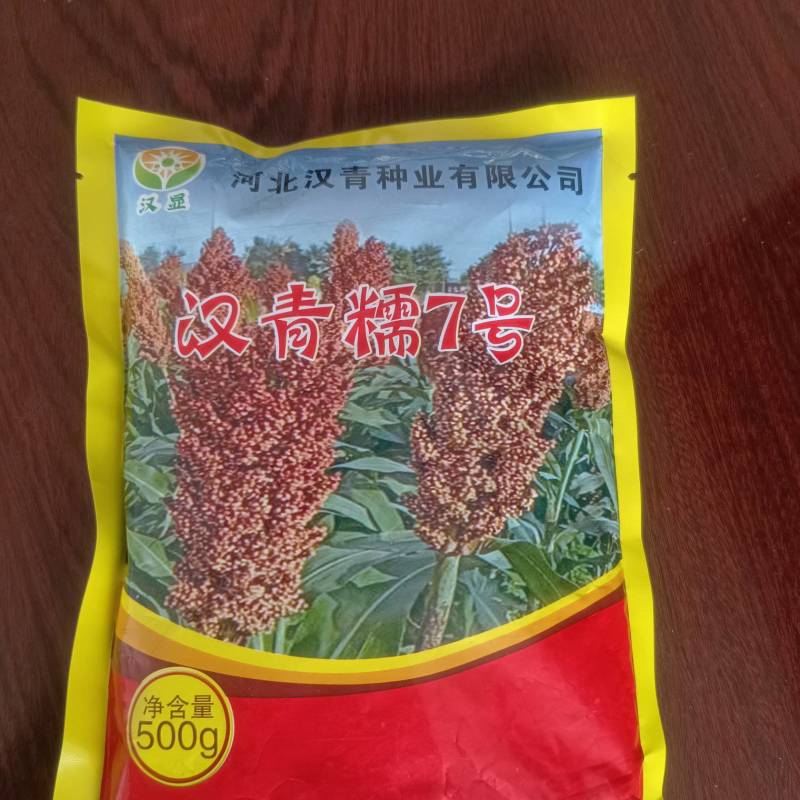 汉青糯7号高粱种子