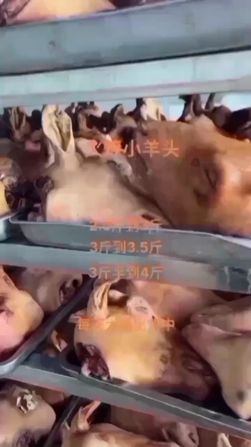 育肥火燎羊头各种规格都有，需要的老板下单吧！