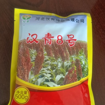 汉青8号高粱种子