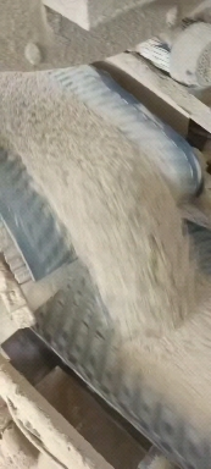 大豆胚芽粉