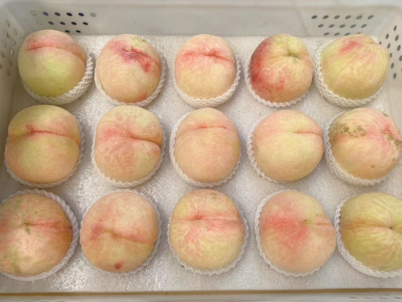 线上接单，专业电商代发，公司福利，专业代发
