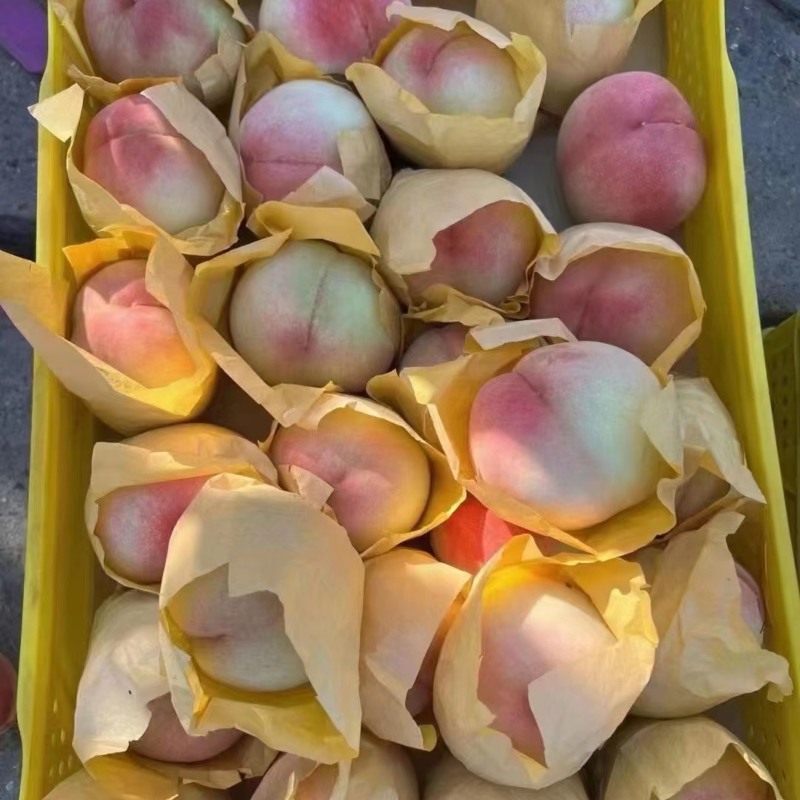 线上接单，专业电商代发，公司福利，专业代发