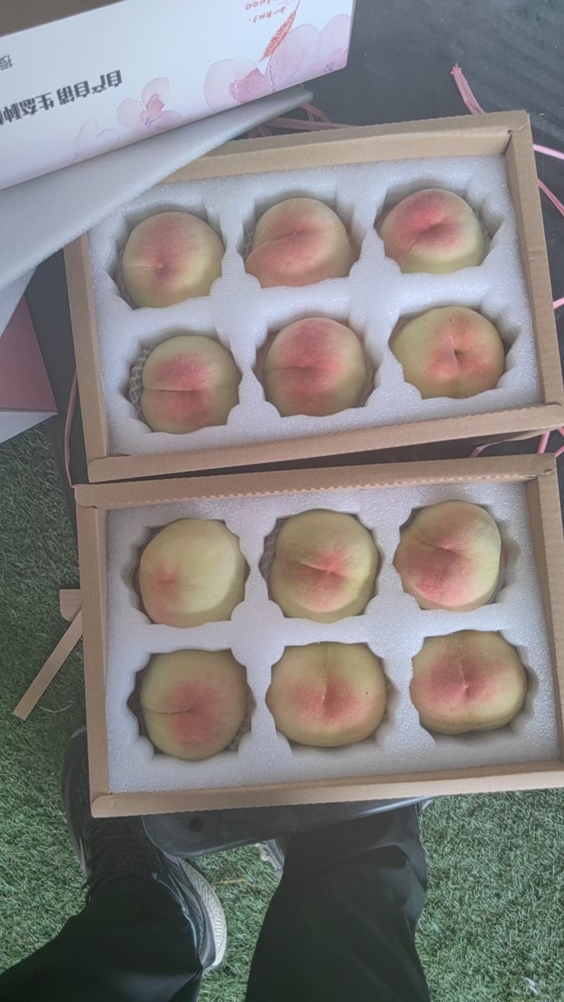 无锡阳山水蜜桃，大量上市中量大质优价格优惠欢迎电联