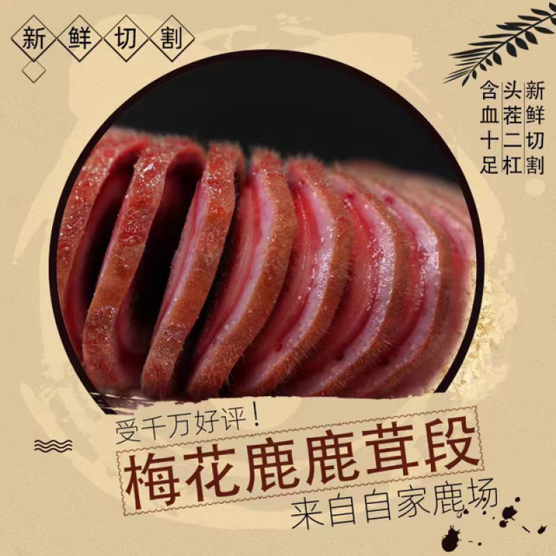 梅花鹿鹿茸中段含红量足可切钱可连刀