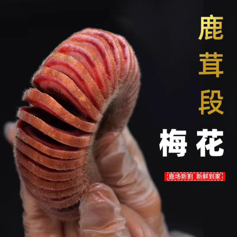 梅花鹿鹿茸中段含红量足可切钱可连刀